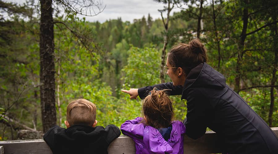 Spec TrouDeLaFée HR 15 Web